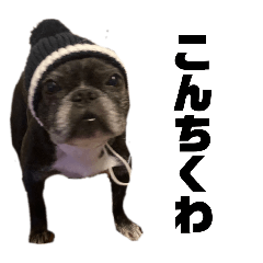 kobayashidaada_20251214020011