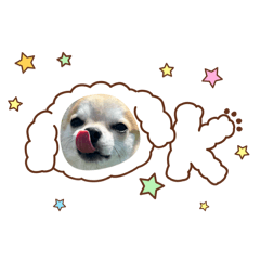 Reina_20251214070700