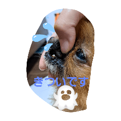 Moeko_20251214072218