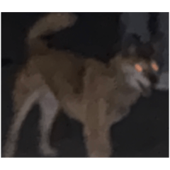 ASAGI_20251214095531