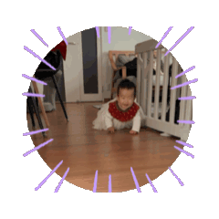 Maple_20251214121055