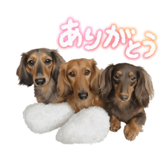 ayuchan_20251214123215