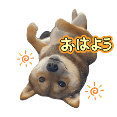 Kazue_20251214115911