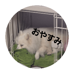 yukan_20251214131540