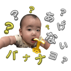 ripipi_20251214124704