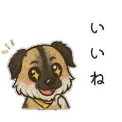 KaNoKo_20251214125838