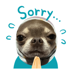 Patty_20251213183411