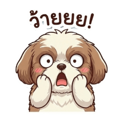 Momoo_20251214061841