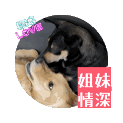 bluemonday.bruce_20251213120430