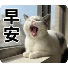 錢錢日常語錄（實用版