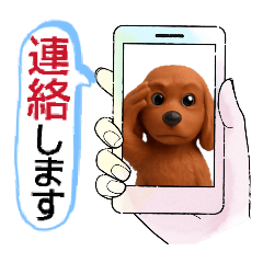 ayame_20251215005908