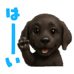 ayame_20251215005324