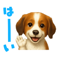 ayame_20251215005516