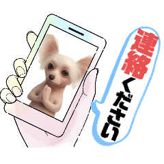 ayame_20251215005752