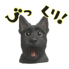 ayame_20251215010500