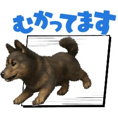 ayame_20251215010629