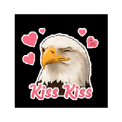 Nok Phaisal (clip eagle2)