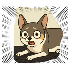 Beamer the Chihuahua