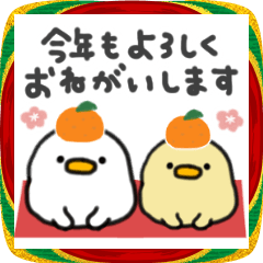 年末年始も♬しろいトリ＆きいろのトリ♬