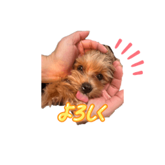 tsuki_20251214135533