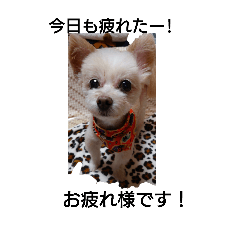 hinagi_20251214135638