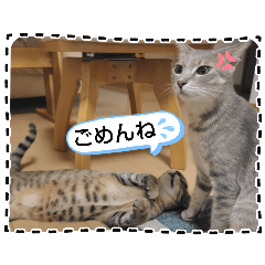 haruka_20251214154515