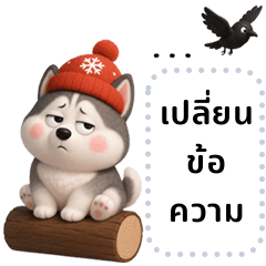 Husky: Chubby-cheeked Siberian Husky/MS