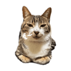 karin_20251214141127