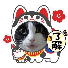 sachi_20251212141935