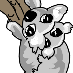 The carefree daily life of a koala.