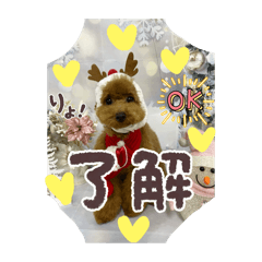 Koharu_20251212172826