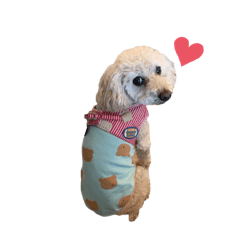 psuke_20251214145442