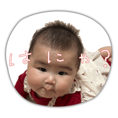 naosa_20251214145851