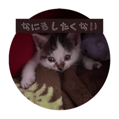 ganmo room_20251214170950