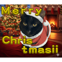 ASUKA_20251214172342