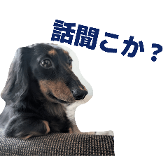 chocoyama_20251214210443