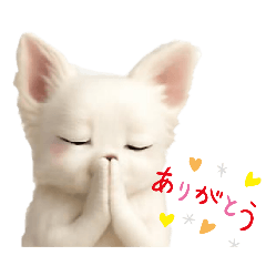 sakukae_20251212212610