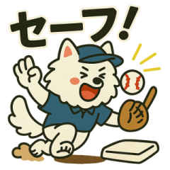 Samoyed baseball dog