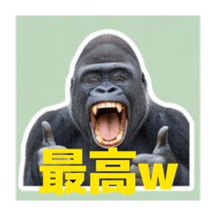 一只非常危险且犯了错的大猩猩