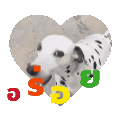 สติ๊กเกอร์Spring..