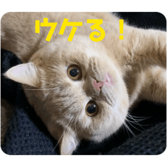 itoukun_20251214184040