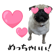 pugpeace_20251214184021