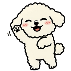A Fluffy Toy Poodle's Everyday
