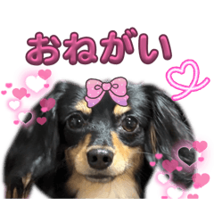 kanuxa_20251212234601