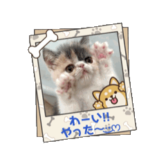 chris_20251213022234