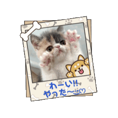 chris_20251213022234