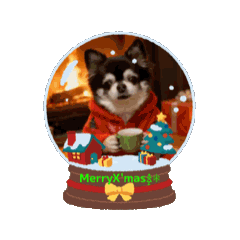 chris_20251213032820