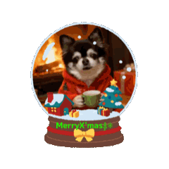 chris_20251213032820