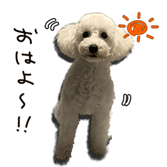 Omochi and Kinako and Chocota