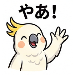 オウムの日常：仕事と週末